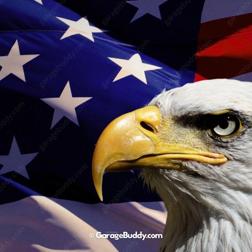 American Bald Eagle & US Flag | Patriotic Garage Door Cover - Image 5